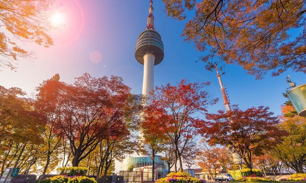 15 địa điểm du lịch Seoul không thể bỏ qua trong năm 2026 7 Tháp Namsan trong lòng Seoul