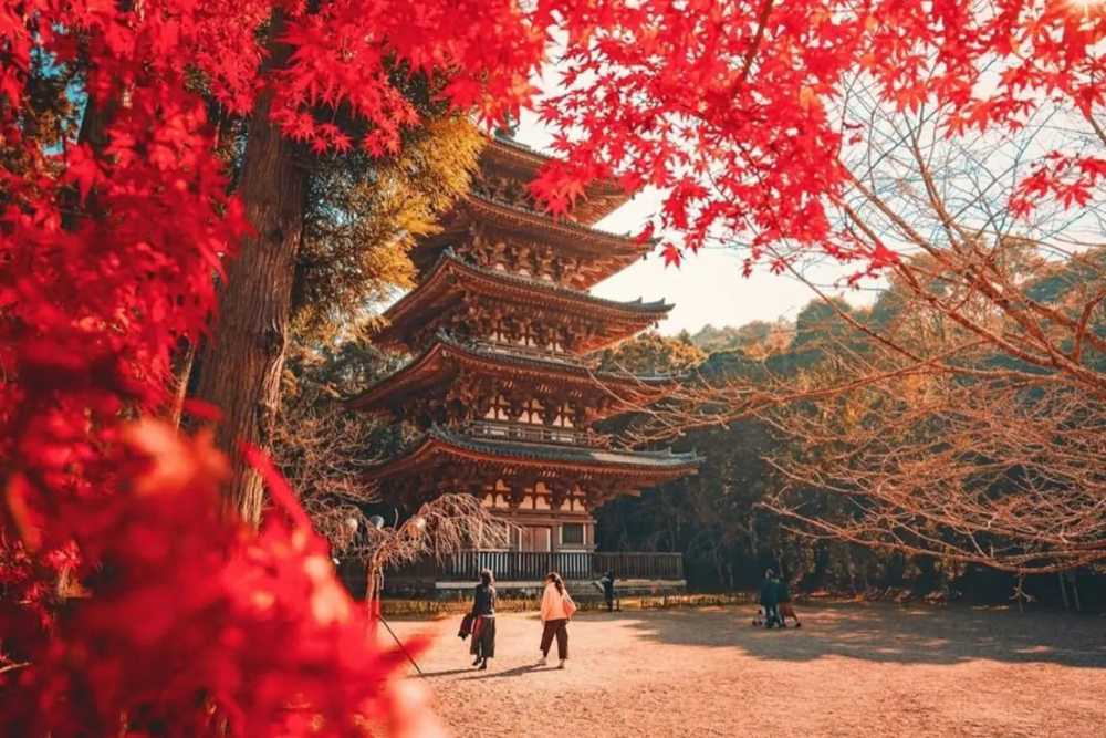 Ẩm thực Nhật Bản cho người mới: ăn gì và đặt chỗ ra sao