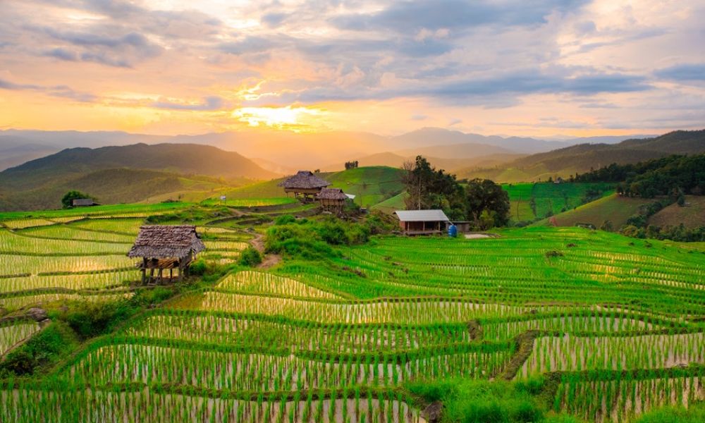 Ban Pa Pong Piang