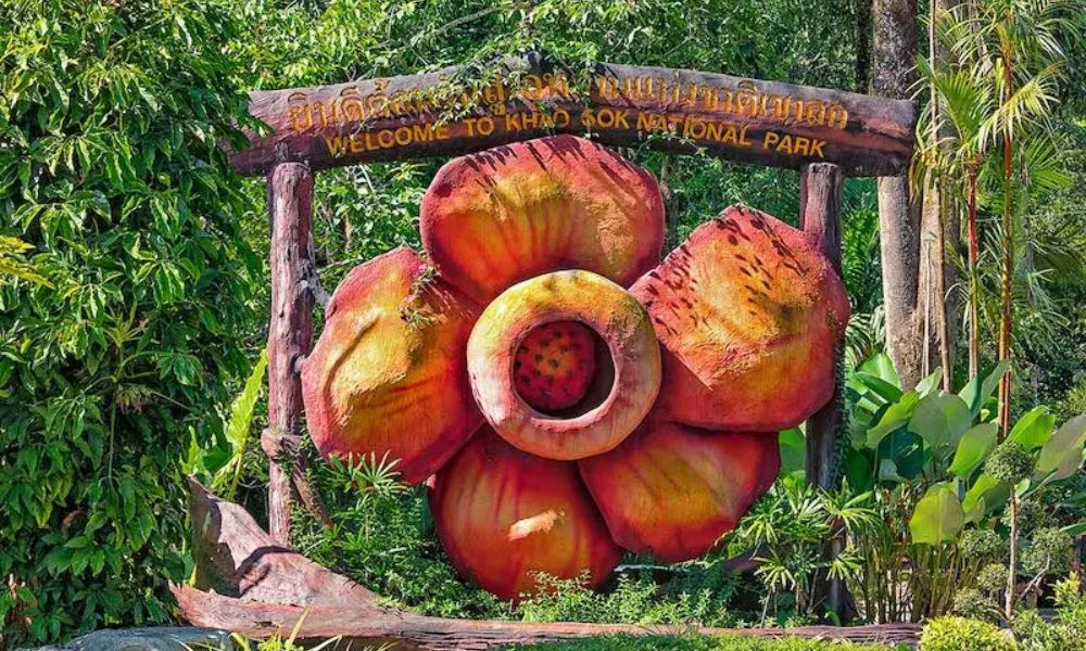 Biểu tượng hoa Rafflesia