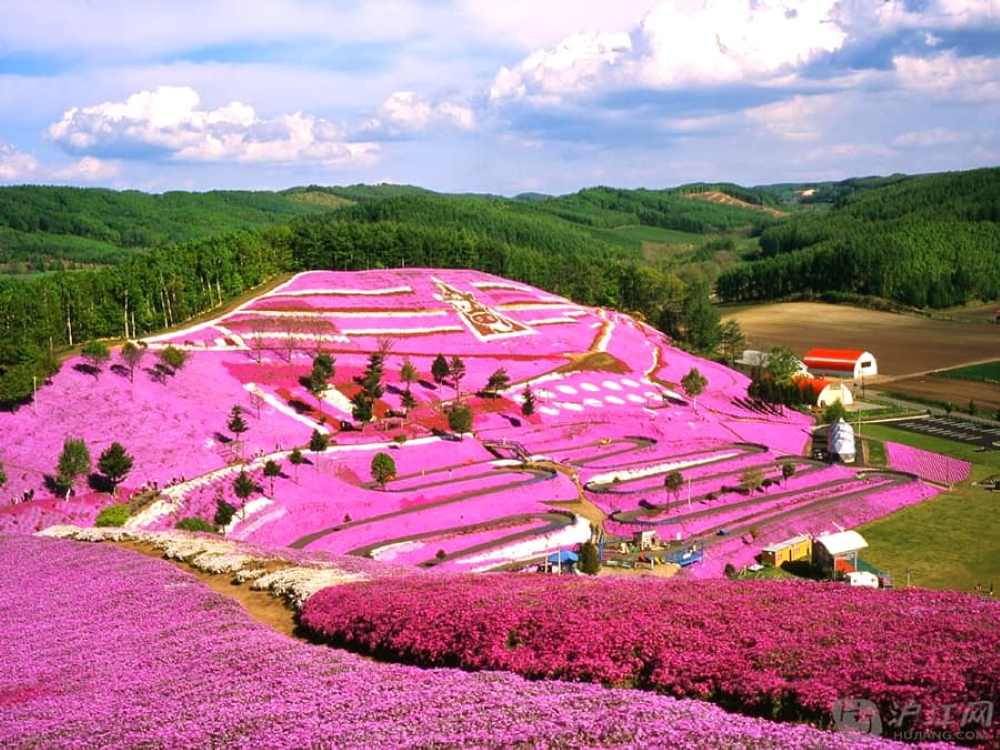 Công viên quốc gia Takino Suzuran Hillside ở Sapporo