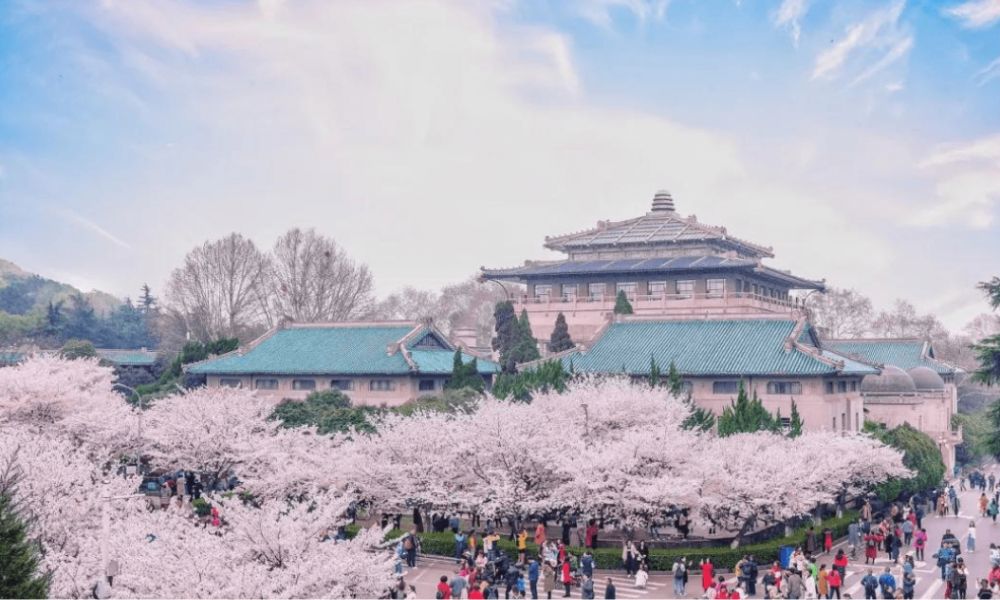 Du lịch Trung Quốc mùa xuân: Top 5 "Tiên cảnh" không thể bỏ lỡ 9 Đại học Vũ Hán (Hồ Bắc) mùa xuân