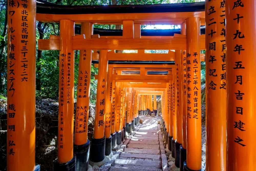 Lịch trình du lịch Nhật Bản 5 ngày chi tiết và dễ hiểu dành cho du khách mới 18 đền Kasuga Taisha