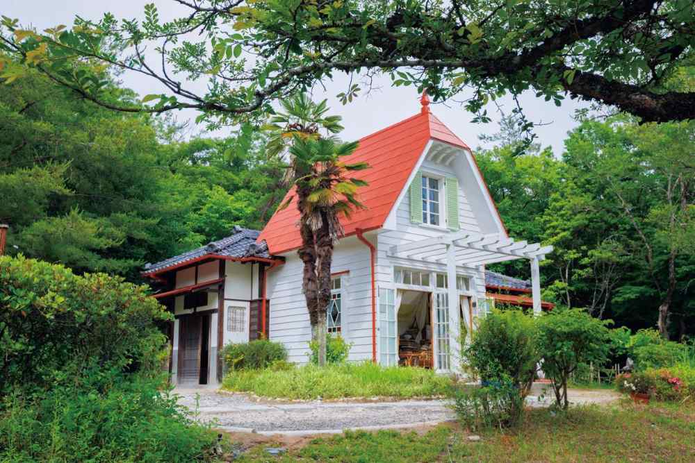 Dondoko Forest: phù hợp gia đình và lưu ý đi bộ