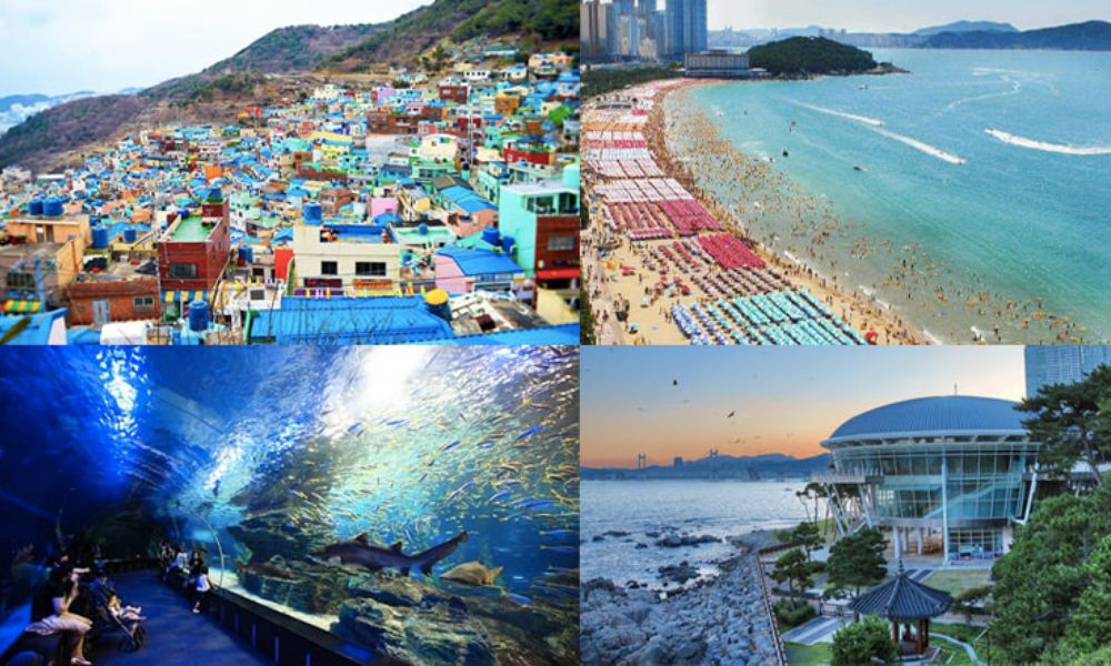 du lịch busan
