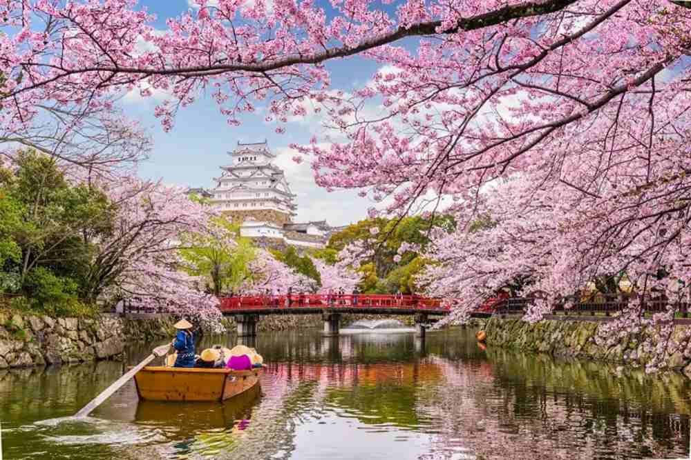 Du lịch Nhật Bản theo tour 2026: Kinh nghiệm thực tế và bí quyết chọn tour phù hợp nhất