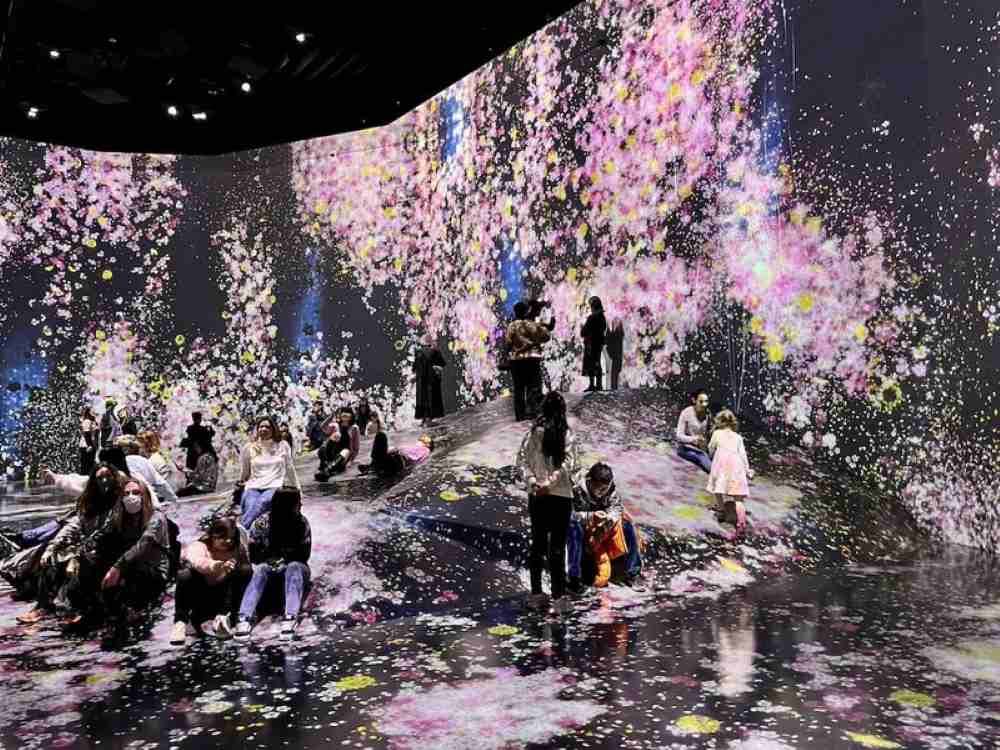 Chuẩn bị kết nối internet cho chuyến tham quan teamLab