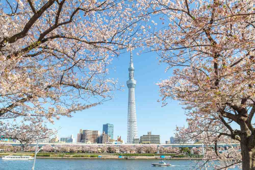 Chuẩn bị kết nối internet khi đi Tokyo và tham quan tháp