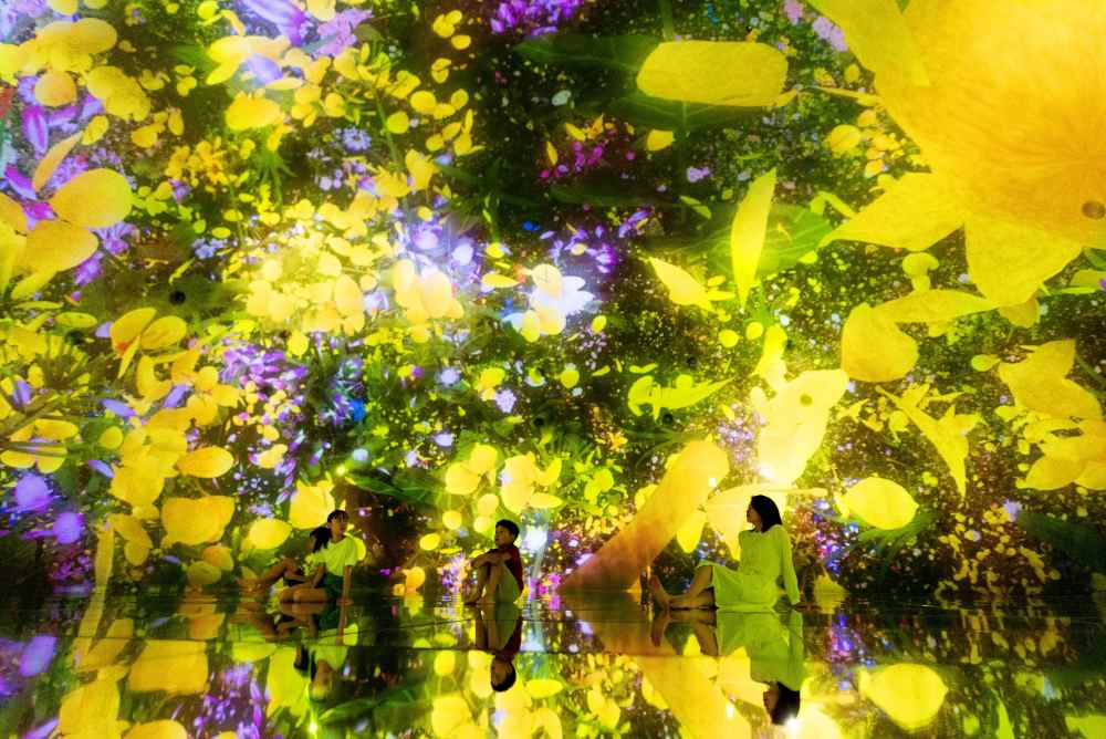 Floating in the Falling Universe of Flowers - Không gian hoa trôi