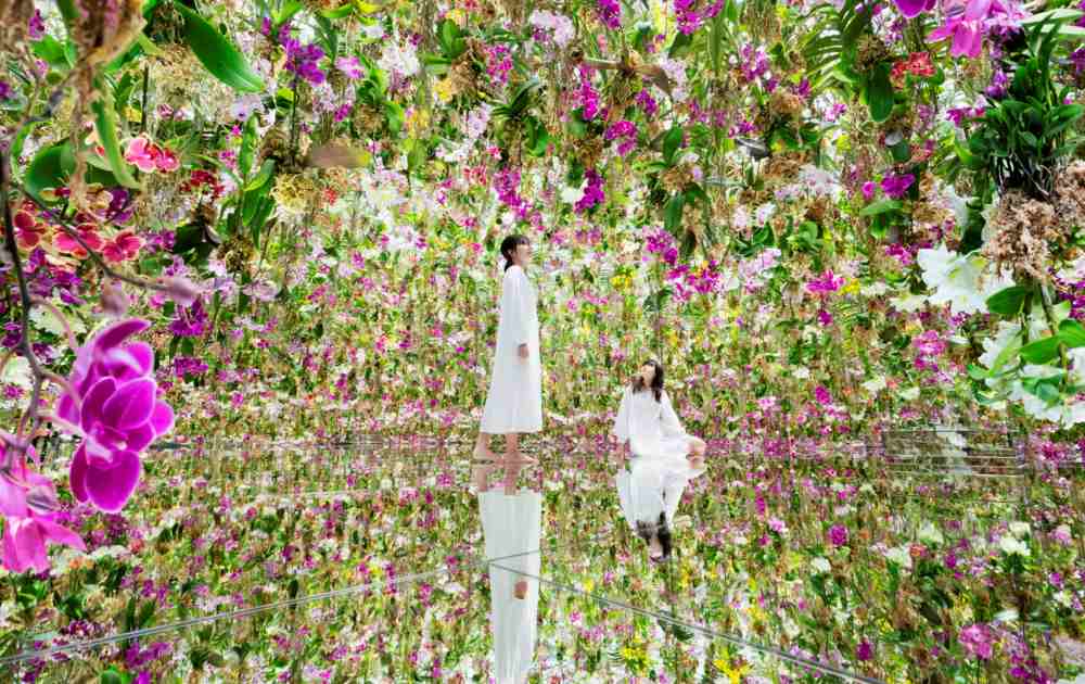 Giá vé bảo tàng teamLab Borderless và cách mua vé thuận tiện
