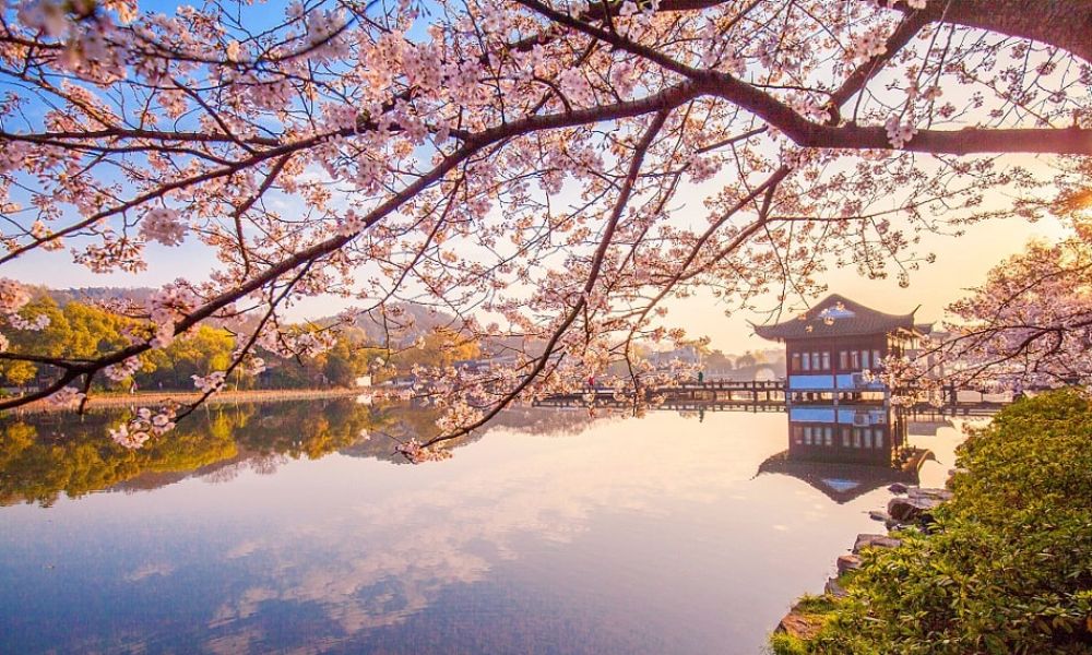 Du lịch Trung Quốc mùa xuân: Top 5 "Tiên cảnh" không thể bỏ lỡ 7 Hàng Châu (Chiết Giang) mùa xuân