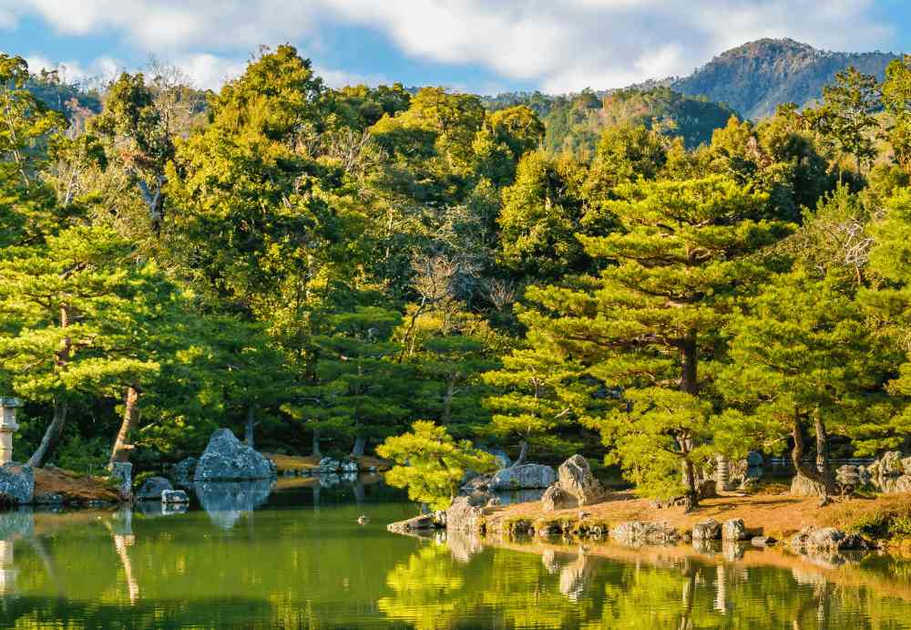 Kinh nghiệm tham quan chùa vàng Kinkakuji thực tế