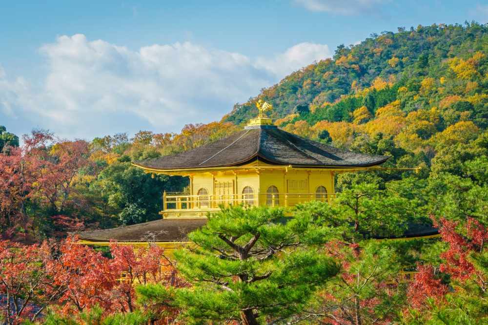 Kyoto: đền chùa, phố cổ và nhịp đi chậm