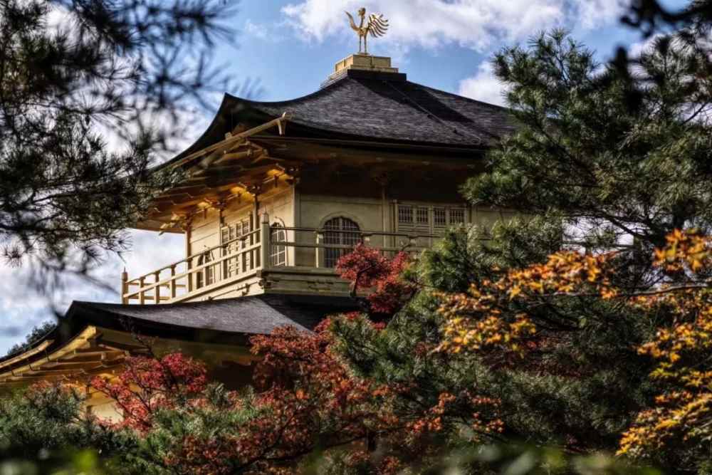 Lịch sử chùa vàng Kinkakuji ở Kyoto