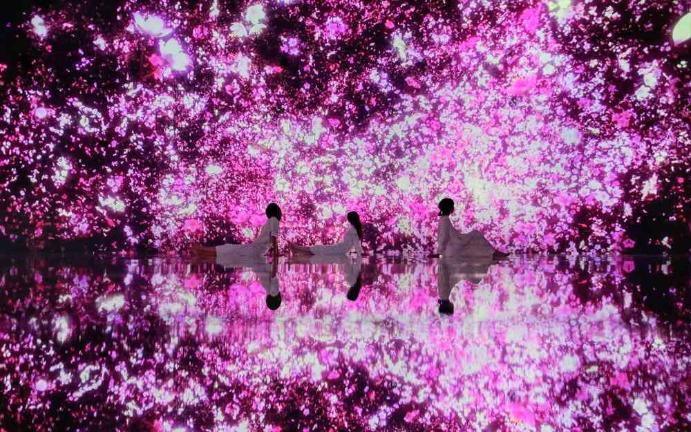 Lịch trình tham quan teamLab Planets chi tiết