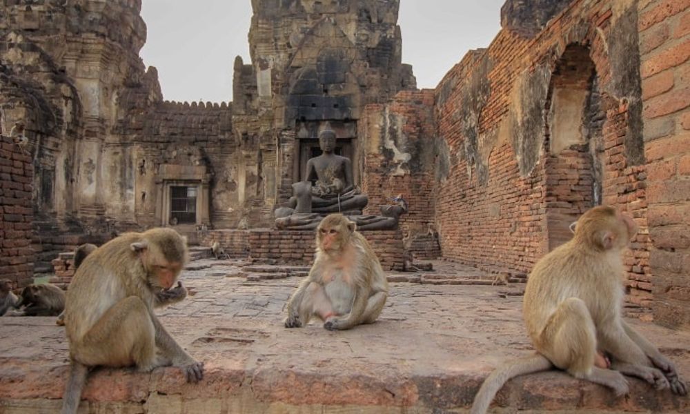 Lopburi Thái Lan