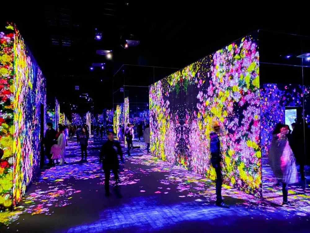 Nên chọn TeamLab nào cho chuyến đi của bạn?