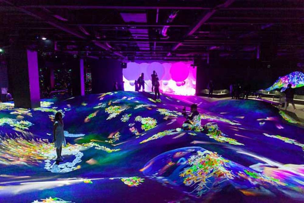 Nên chọn TeamLab nào cho chuyến đi của bạn?