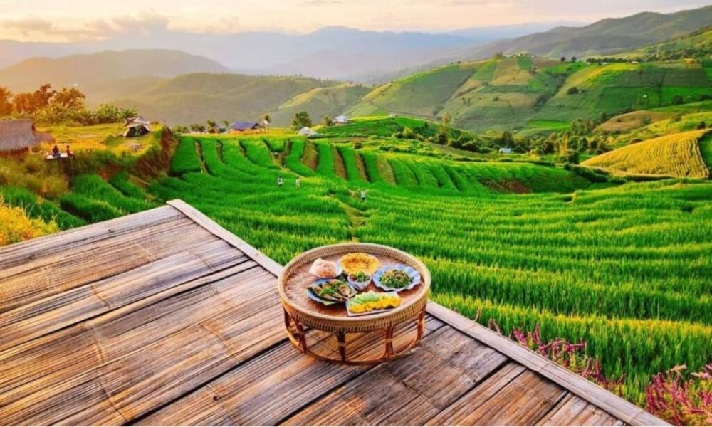 Phù hợp để thư giãn