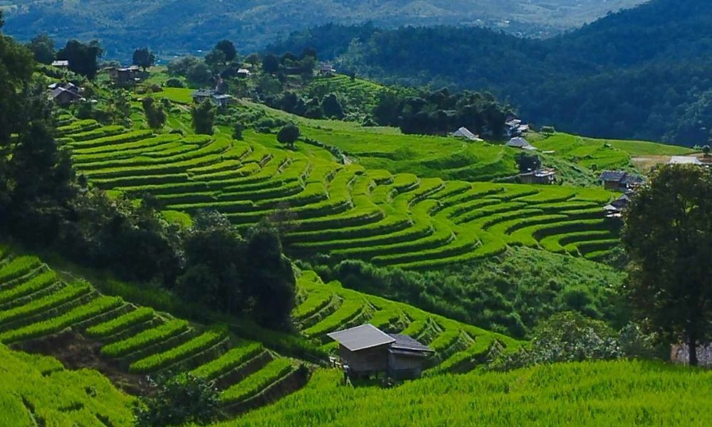 Ruộng bậc thang