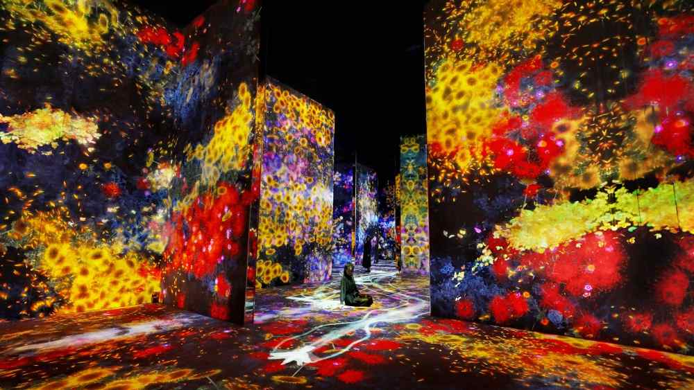 so sánh teamlab planets và teamlab borderless