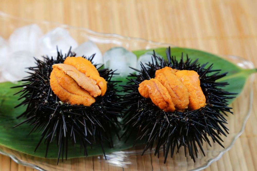 Uni – nhum biển