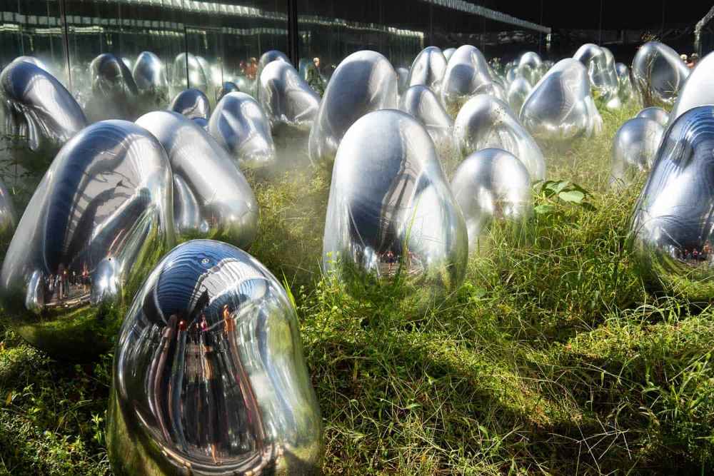 teamLab Planets ở Tokyo là gì và hợp với ai?