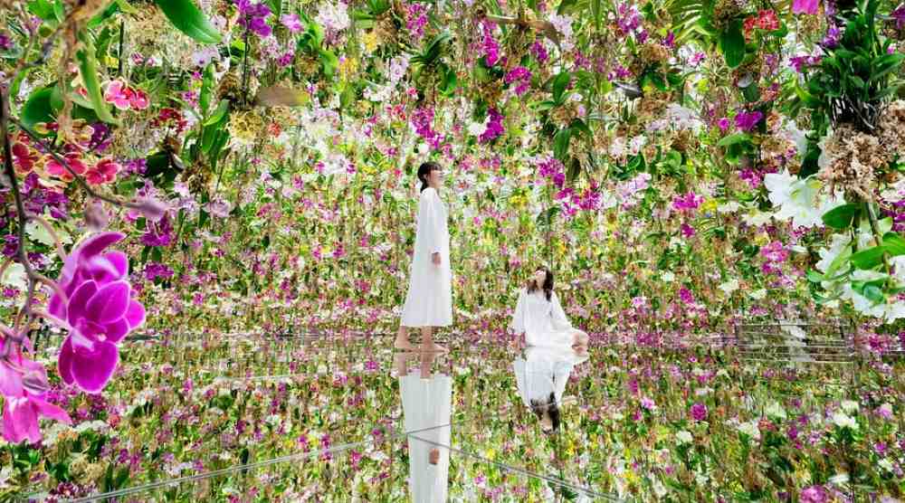 Lịch trình du lịch Nhật Bản 7 ngày chi tiết và dễ hiểu dành cho du khách mới 21 teamLab Planets Tokyo