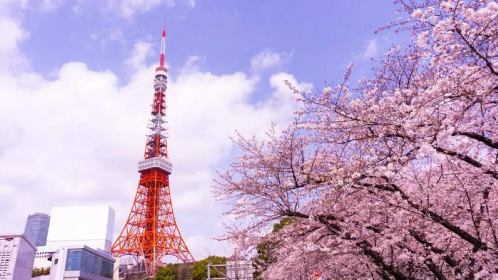 tháp tokyo