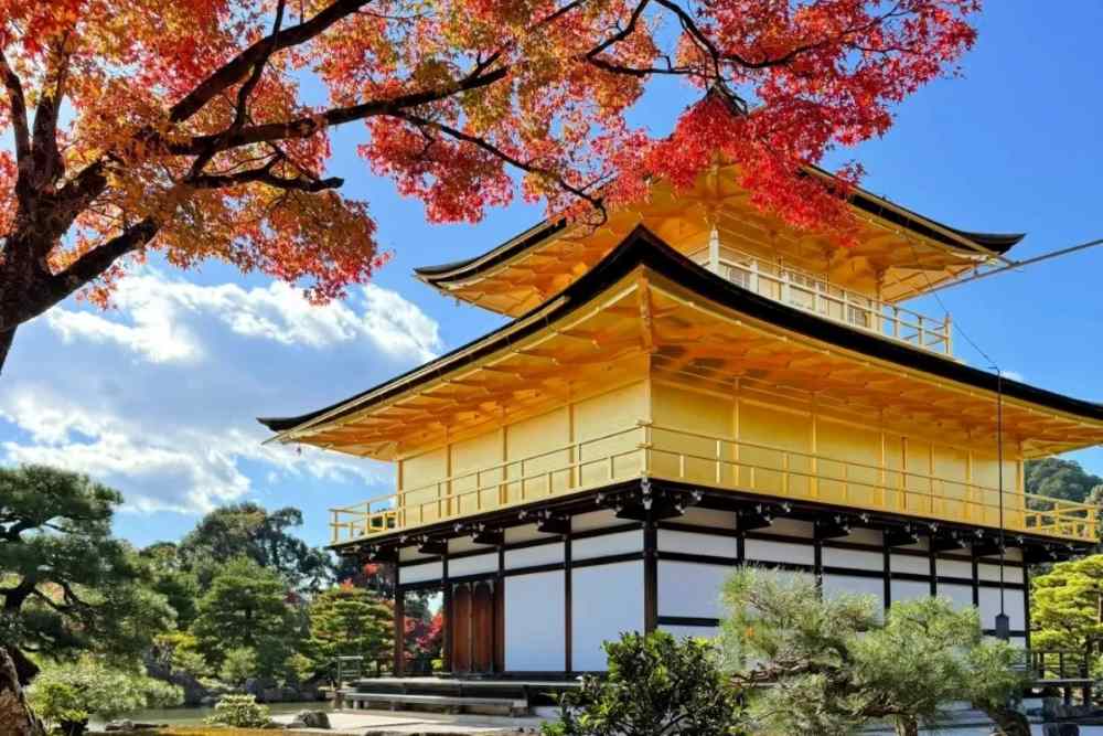 Nên tham quan chùa vàng Kinkakuji ở Kyoto vào thời điểm nào?