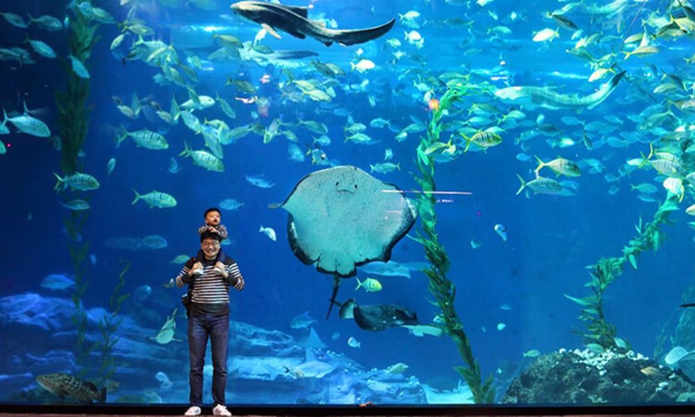 thủy cung Aqua Planet Jeju 