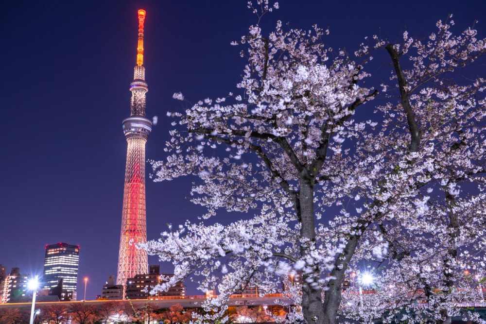Trải nghiệm bên trong tháp Tokyo có gì hay