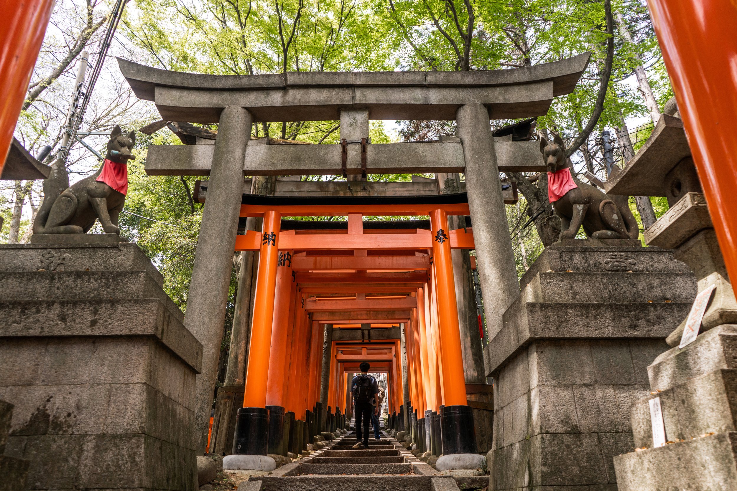 Ý nghĩa tín ngưỡng của đền Fushimi Inari và biểu tượng cáo