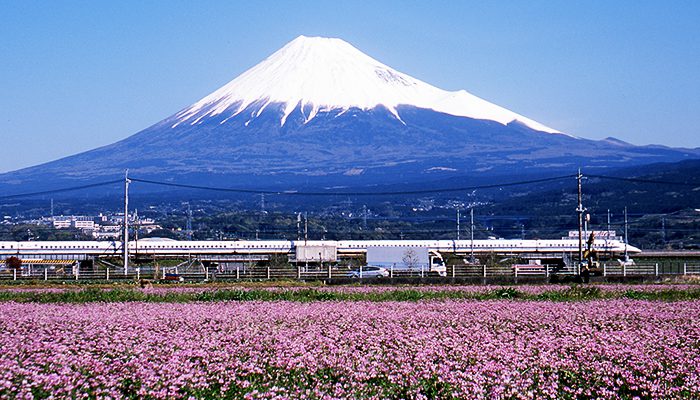JAPAN